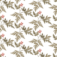 Adelaide  Pattern - Spring Colourway