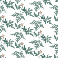 Adelaide  Pattern - Summer Colourway