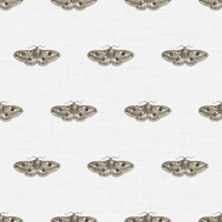 Hector  Pattern - Spring Colourway