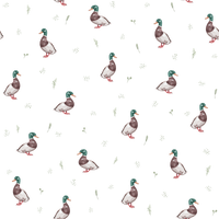 Finley  Pattern - Summer Colourway