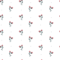 Isabella  Pattern - Winter Colourway